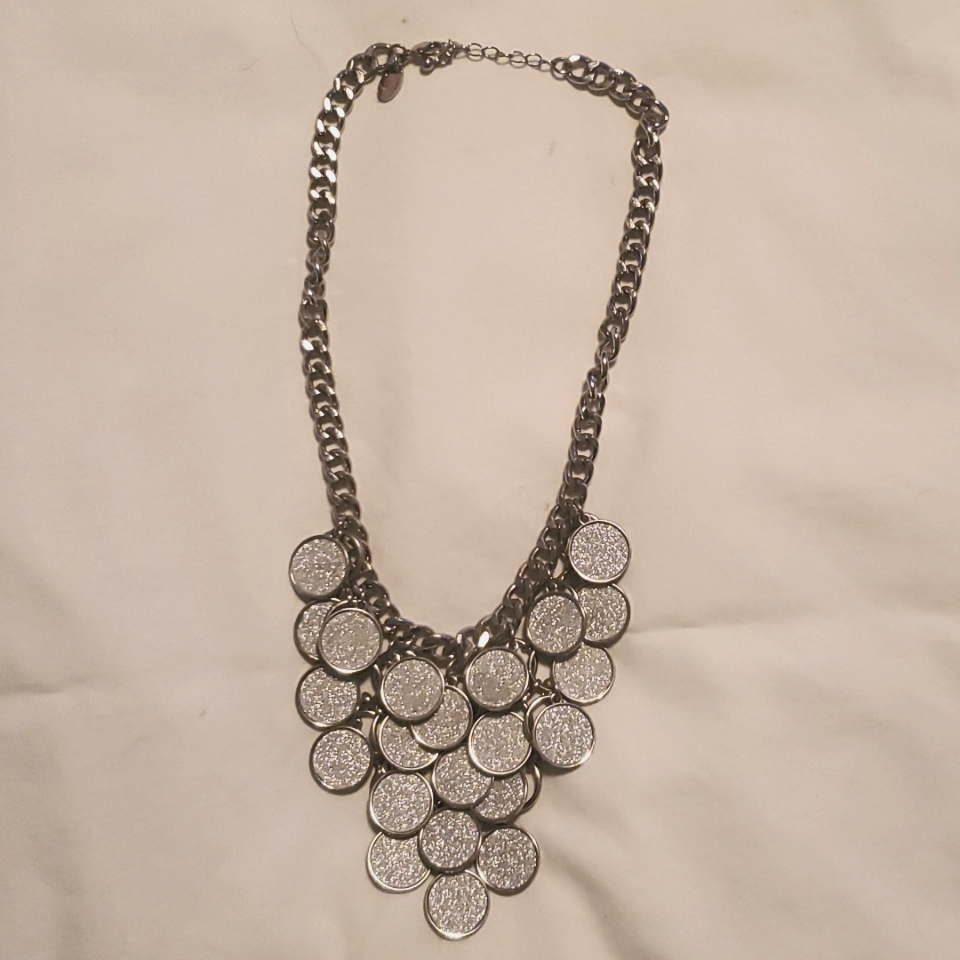 Charming Charlie Silver Necklace 15$